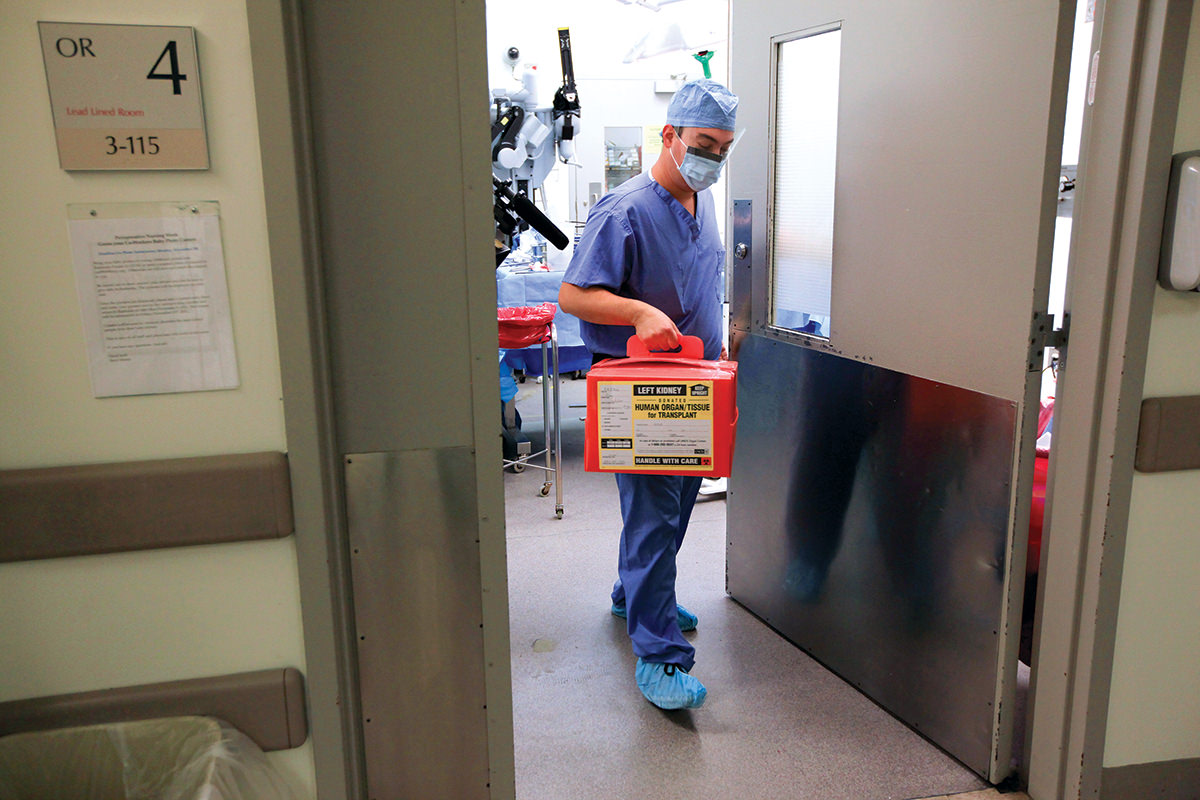 the importance of promoting organ donations essay the importance of promoting organ donations essay