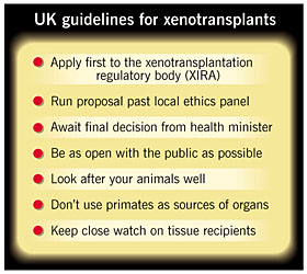 xenotransplants essay xenotransplants essay