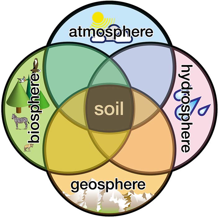 Wikipedia image