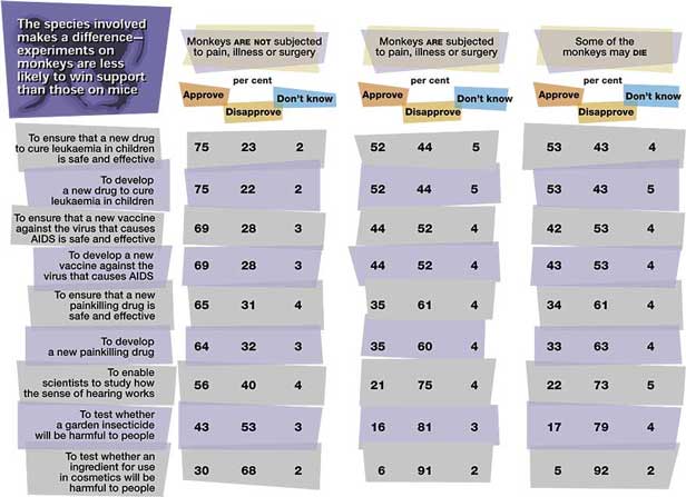 cons for animal testing essay cons for animal testing essay