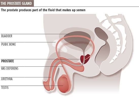 Masturbation And The Prostate 74