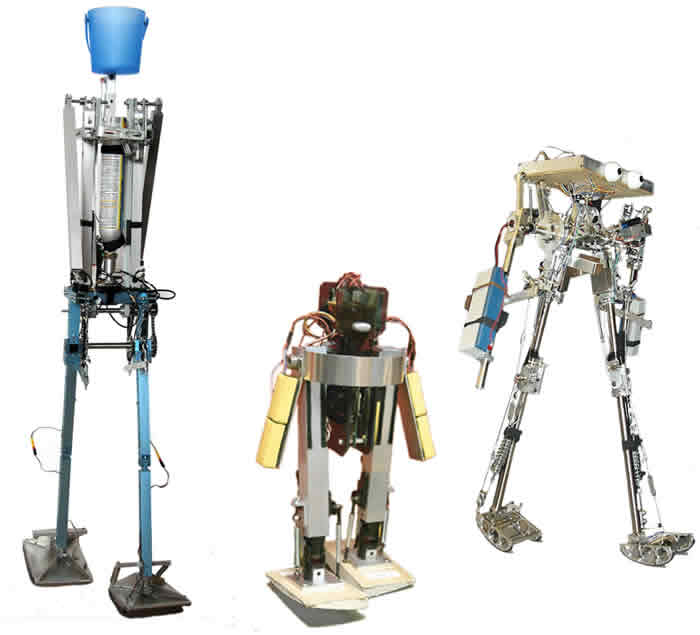 Rambling robots show human efficiency New Scientist