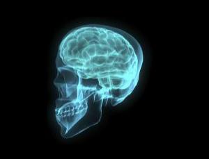 The secret life of the brain | New Scientist