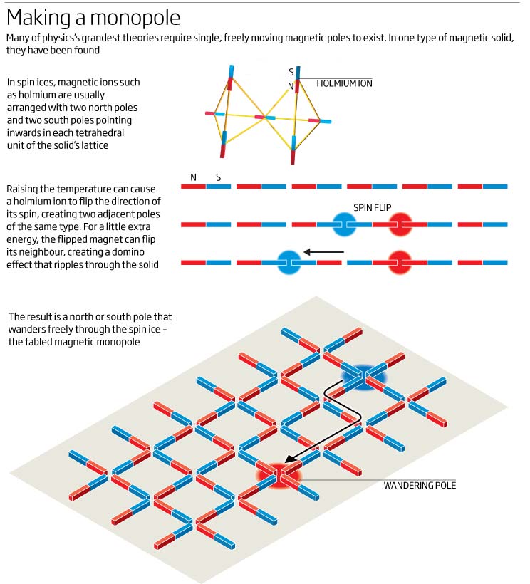 observed for first time New Scientist