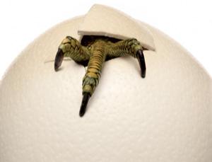 back to the cretaceous