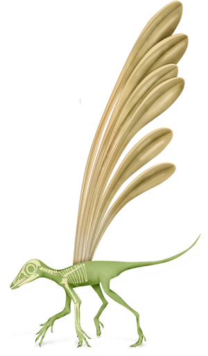 Something Like Feathers Grew On A 247 Million Year Old Reptile A Prehistoric Mystery Solved - 6t9b4q2