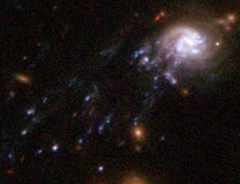 Astrophile Jellyfish galaxies found spawning in clusters New Scientist