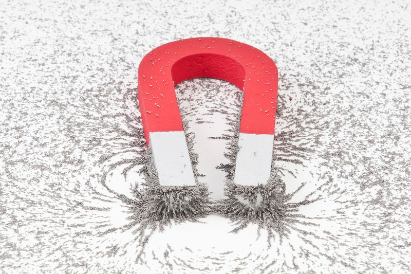 Bacteria power up by using as batteries New Scientist