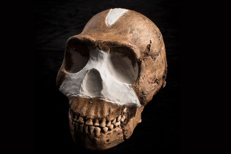 Antropologia datowania radiometrycznego