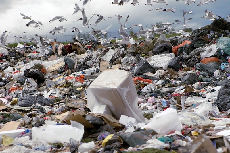 Desecration phrasebook: A litany for the Anthropocene Desecration phrasebook: A litany for the Anthropocene