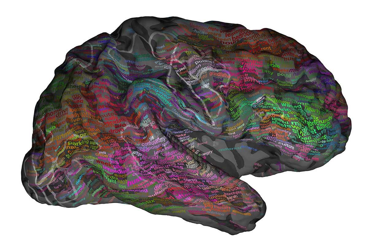 Image de cerveau avec des mots multicolores écrits sur elle