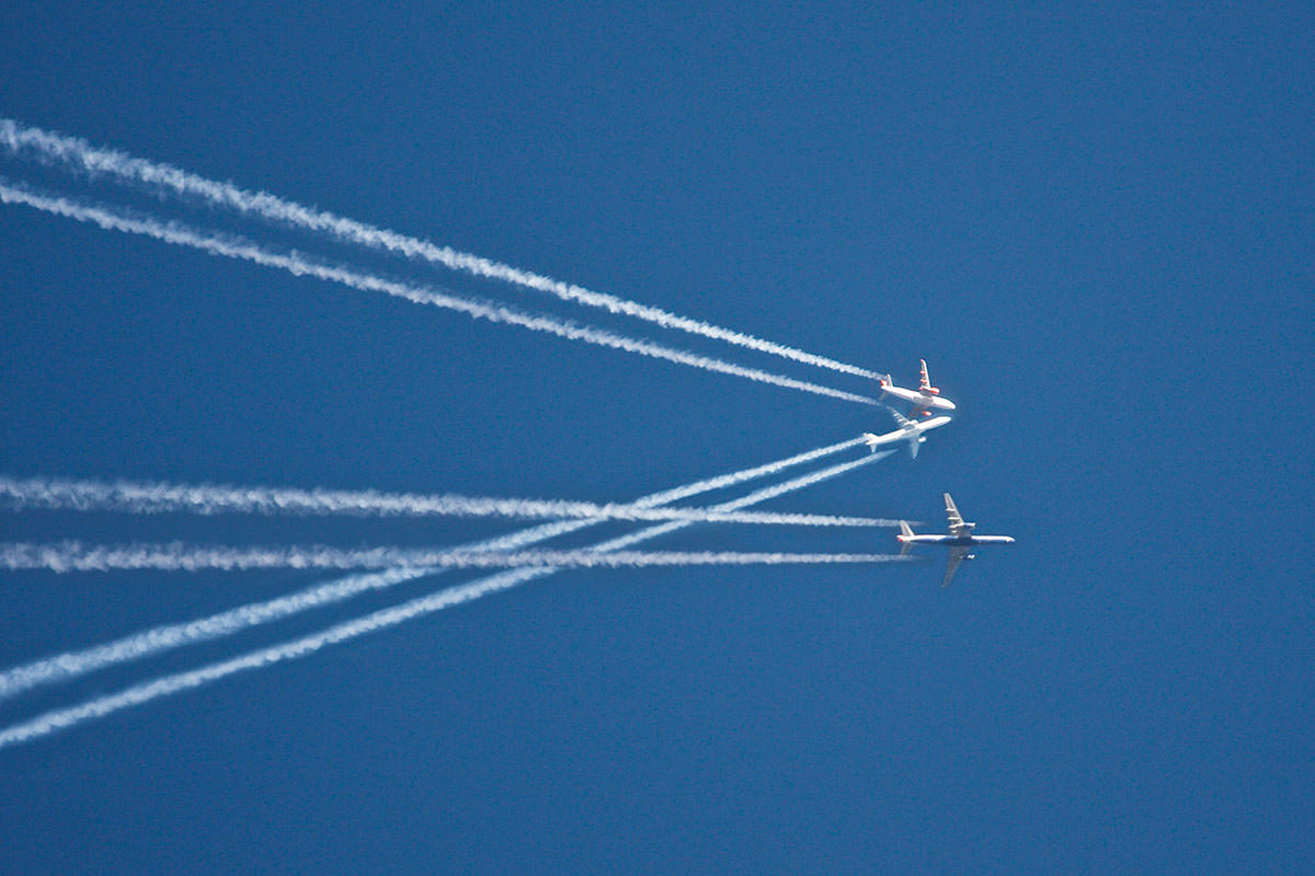 A field guide to technology gone feral - New Scientist