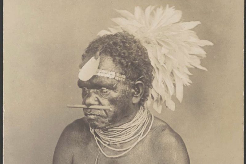 Portrait of an Aboriginal man with a shell and feather headdress and a nose piercing, Queensland, ca. 1900