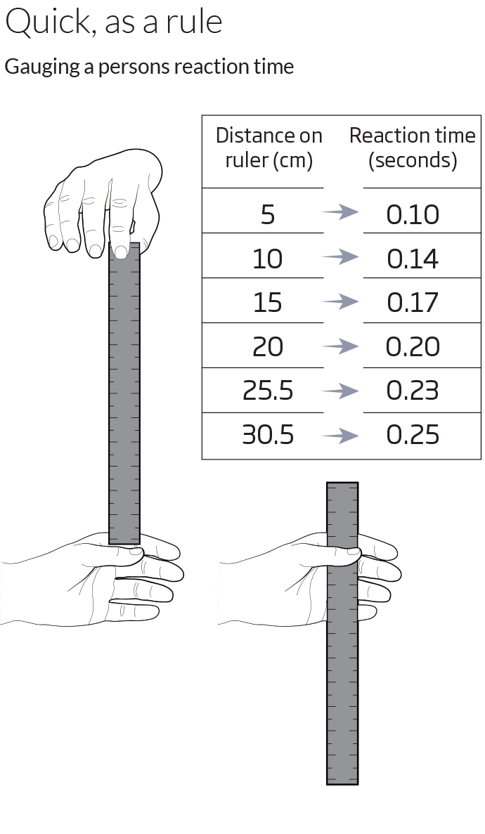 Reaction Time Test Reaction Time Test