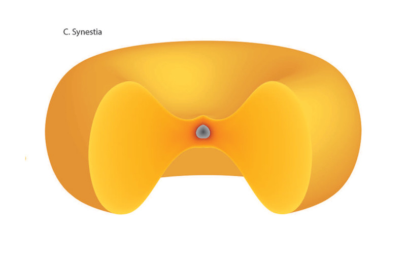 Diagram of the shape of a synestia – like a red blood cell or a doughnut