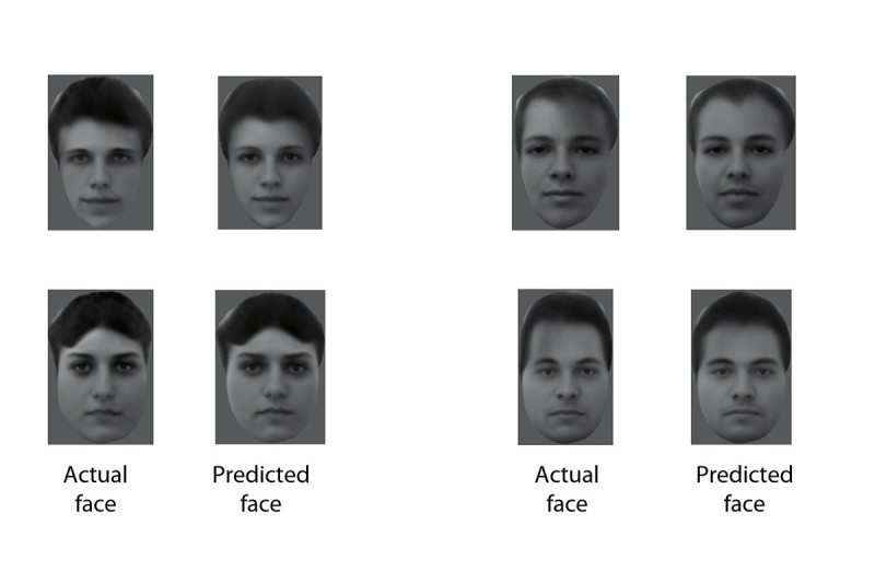 item2_facereconstructions-800x533.jpg