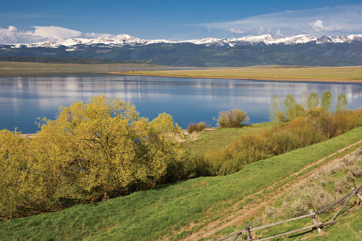 Distinctly Montana