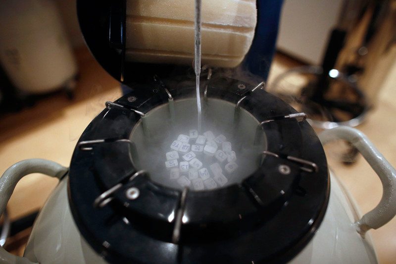 Second fertility clinic malfunction puts 400 patients' eggs, embryos at risk