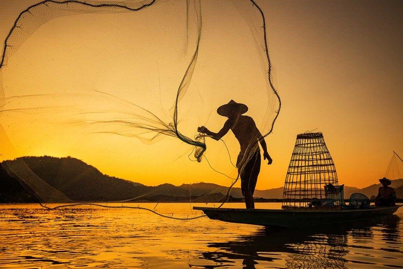Actually, there aren't plenty of fish left in the sea