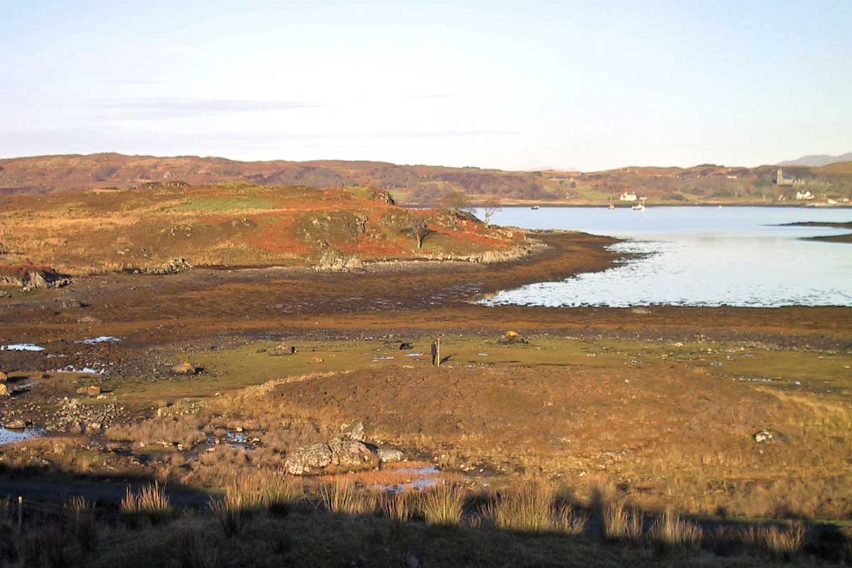 England's marshes may start to retreat and disappear in just 20 years