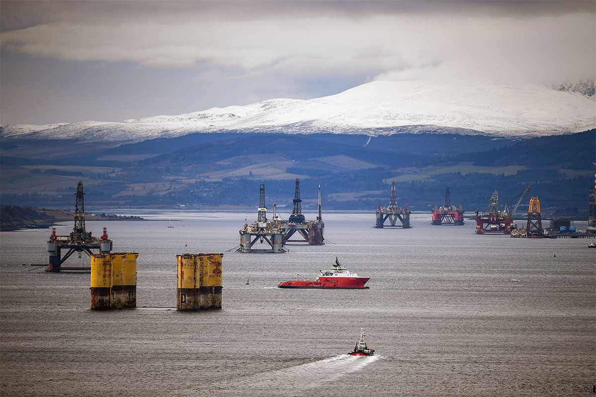 Corals on old North Sea oil rigs could help natural reefs recover | New ...